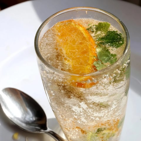Refreshing probiotic soda mocktail with citrus, mint, and ice for summer enjoyment.  